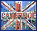 Cambridge Art
Mouse Mats
