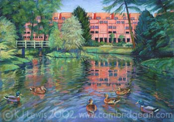 Robinson College - Ducks