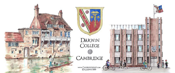 Mug of Darwin College Cambridge