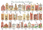 All 31 Cambridge colleges postcard